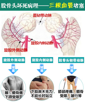 图片14
